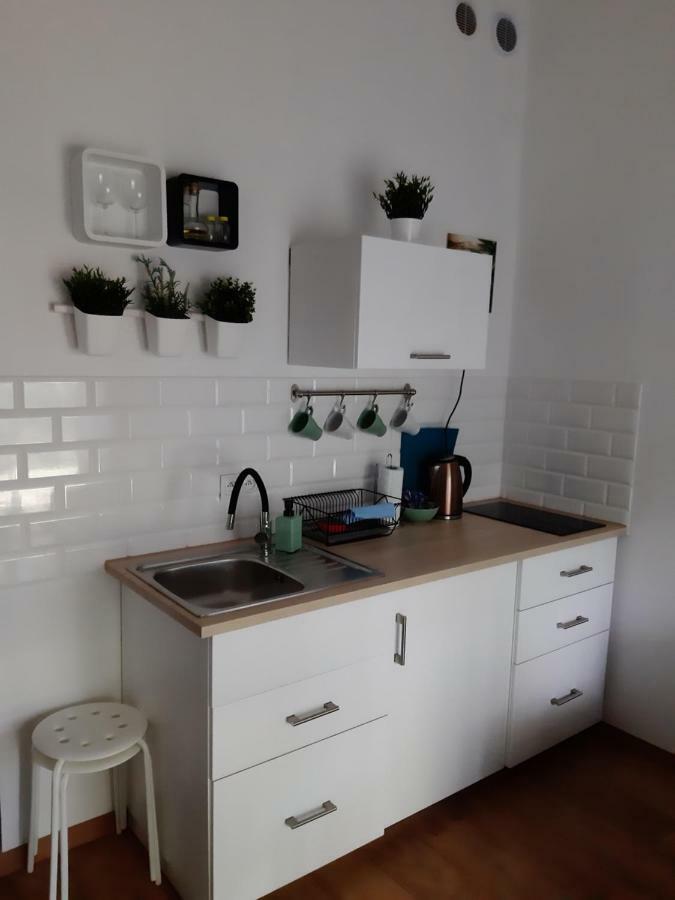 Apartament Nad Stara Odra วรอตซวาฟ ภายนอก รูปภาพ
